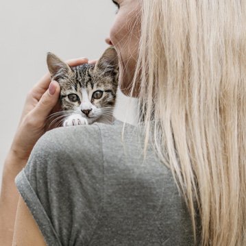 Automatización de reportes empresariales en España